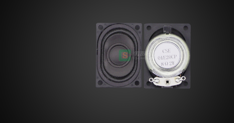 H2840CP08-01 2W